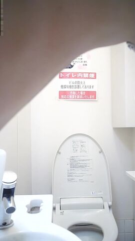 偷拍极品美女们上厕所 这貌似是目前厕拍系列中平均颜值及身材最高的一部
