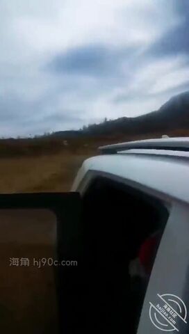 去新疆出差的路上，骚领导一边开车一边玩我鸡鸡，没人的地方野战操了她