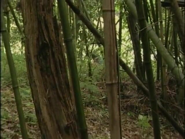 【日式MJ】外站精品流出经典暴力MJ作品JAV系列合集[第2期]9连发（5）