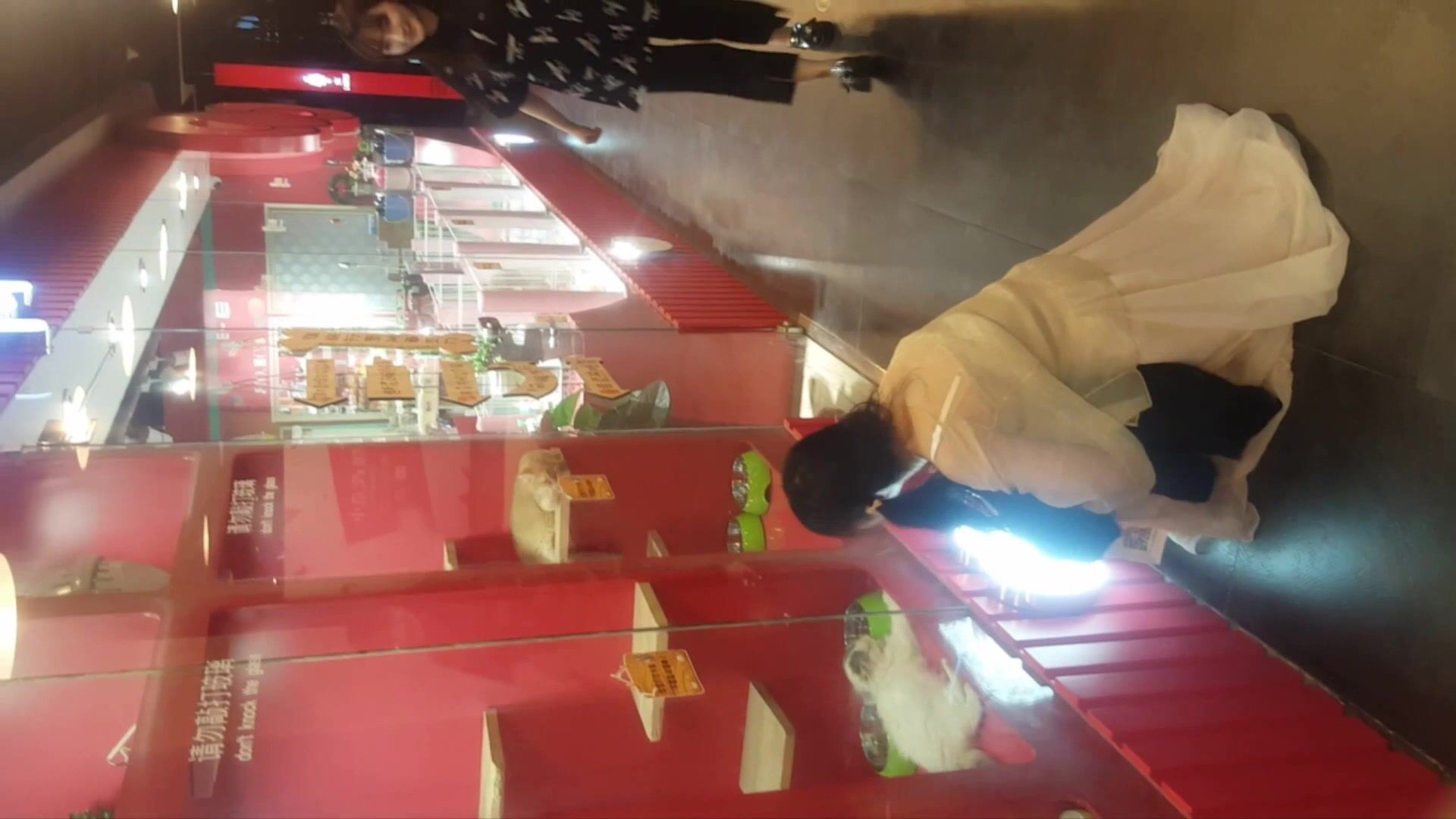 宠物店跟踪偷拍一身白色连衣裙配白高跟的气质女神人美穴靓