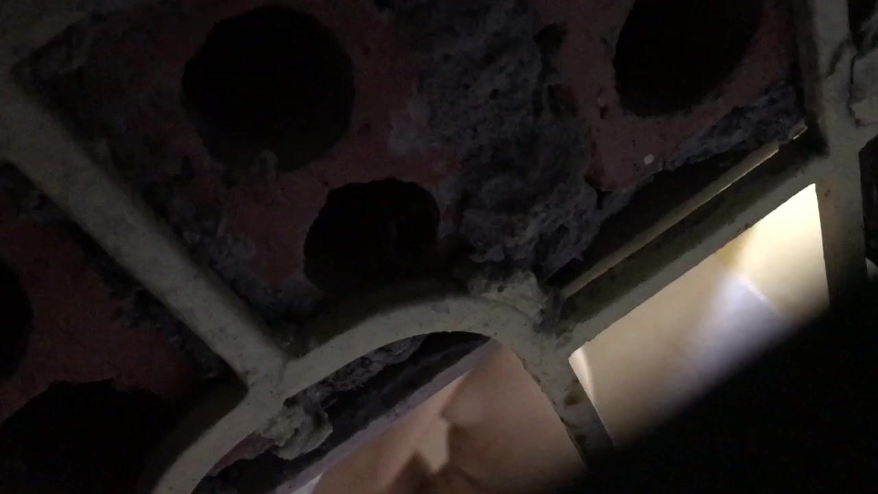 某高校女宿舍窗外偷拍好几个女学生洗澡,学校真抠门舍不得给女生宿舍装窗 (1)