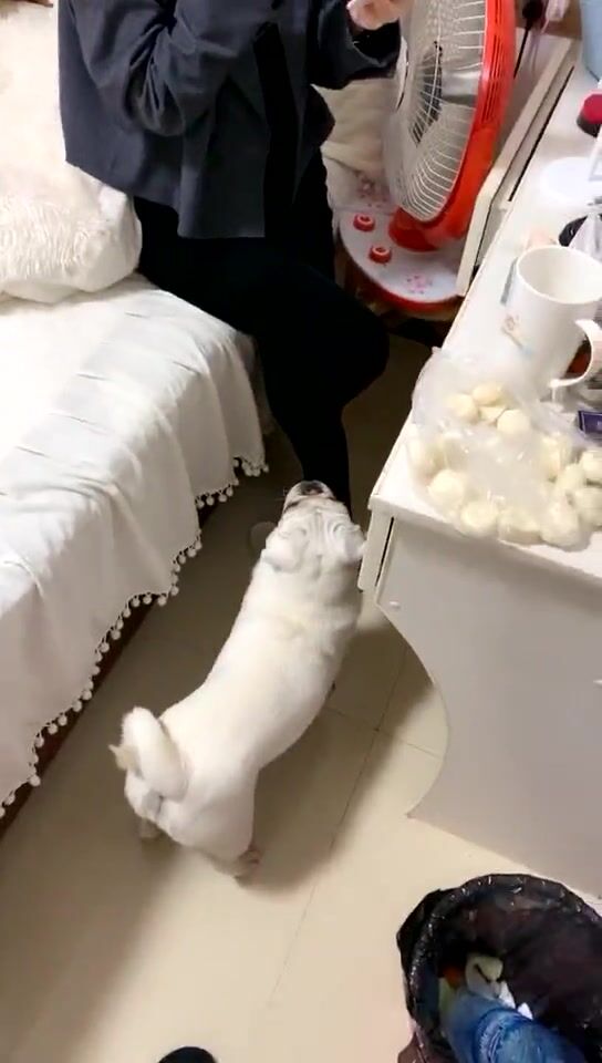 《老王探花》酒店重金约炮“气质白领”“美女姐姐”“漂亮学妹”各种姿势啪啪完美露脸 (3)